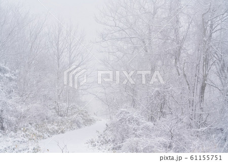 吹雪の山あい　福島県磐梯町 61155751