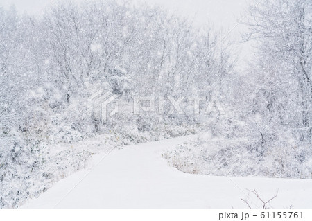 吹雪の山あい　福島県磐梯町 61155761