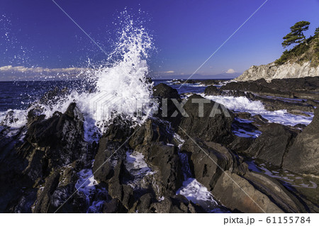 （神奈川県）荒崎海岸の磯　富士山遠望 61155784