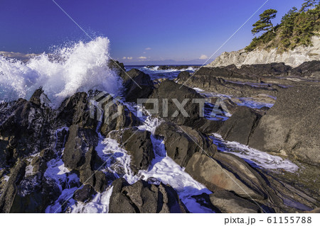 （神奈川県）荒崎海岸の磯　富士山遠望 61155788