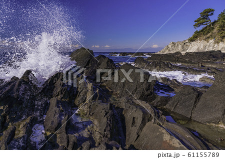 （神奈川県）荒崎海岸の磯　富士山遠望 61155789