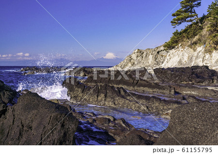 （神奈川県）荒崎海岸の磯　富士山遠望 61155795