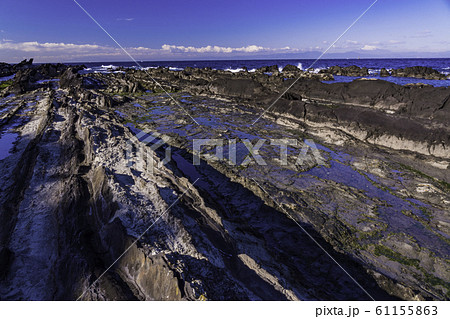 (神奈川県)荒崎海岸 磯 (神奈川県)荒崎海岸 磯 61155863