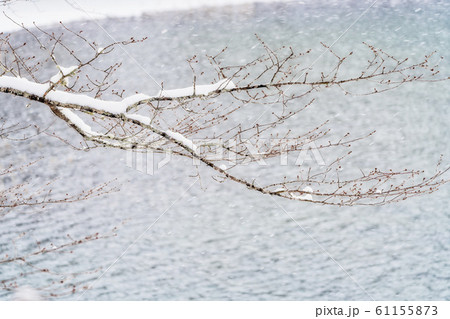 冬の五色沼（毘沙門沼）　福島県北塩原村 61155873