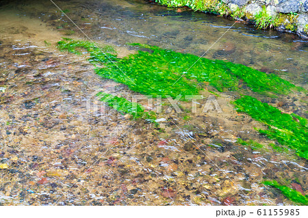 城下町の風景　沢端川　宮城県白石市 61155985