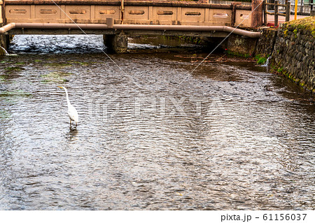 城下町の風景　沢端川　宮城県白石市 61156037