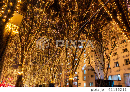 SENDAI光のページェント2019　宮城県仙台市 61156211