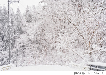 雪の日の風景　道路 61156784