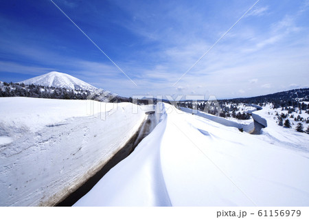 八甲田　雪の回廊 61156979