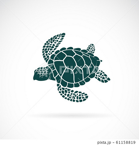 Vector Of Turtle Design On A White Background Stock Illustration