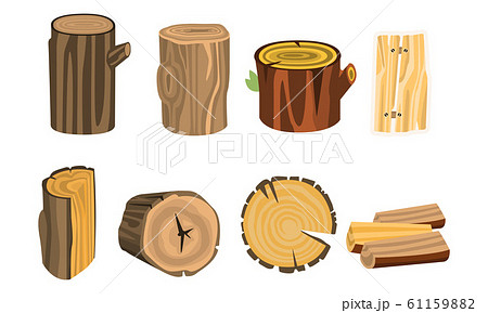 Wooden Stubs and Logs Vector Set. Firewood and Crust Isolated on White Background Wooden Stubs and Logs Vector Set. Firewood and Crust Isolated on White Background 61159882