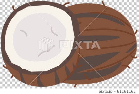 ココナッツ＊主線なし 61161163