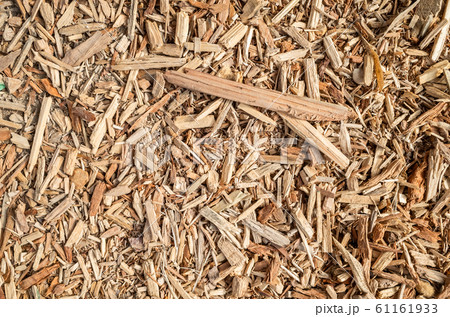 wooden and lumber sawdust 61161933