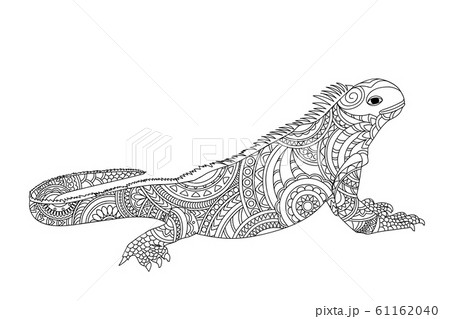 Black And White Zen Tangled Patterned Iguana Forのイラスト素材