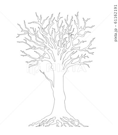tree without leaves black outline 61162191