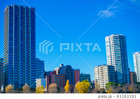 冬の不忍池の風景 タグ:冬, 不忍池, 風景, 景色 冬の不忍池の風景 タグ:冬, 不忍池, 風景, 景色 61163181