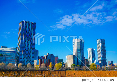 冬の不忍池の風景 タグ：冬, 不忍池, 風景, 景色 61163189