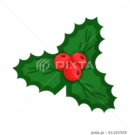 Mistletoe with berries flat vector illustration Mistletoe with berries flat vector illustration 61163509