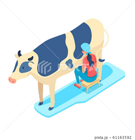 Woman milking cow isometric vector illustration 61163592