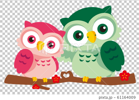 ふくろうイラスト（カップル）のイラスト素材 [61164009] - PIXTA