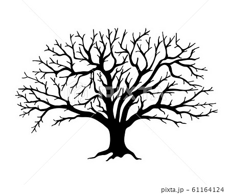 Black silhouette apple tree  without leaves 61164124