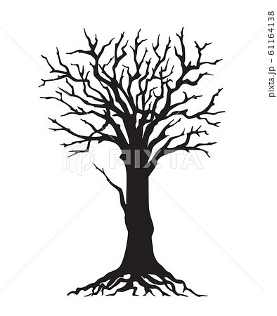 Black silhouette tree with roots without leaves 61164138