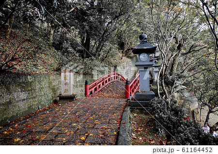台湾 景色 風景 61164452