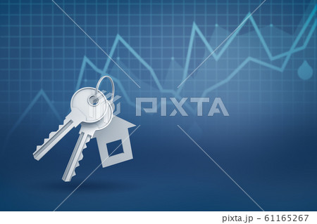 3d rendering of silver key and a house shape key fob on blue diagram background 61165267