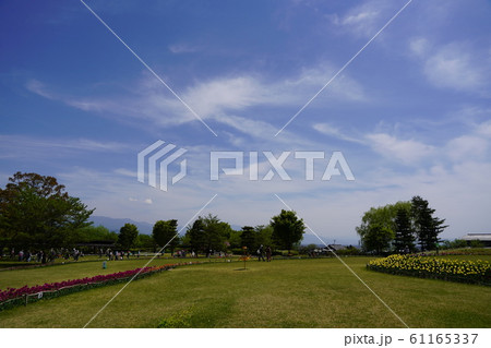 北アルプスあずみの公園内（常念岳） 61165337
