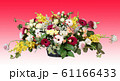 フラワーアレンジメント 61166433