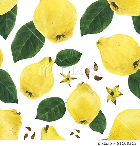 Quince fruits and leaves and seeds seamless 61168315