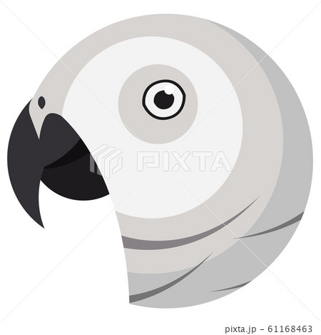 African grey parrot portrait made in unique simple cartoon style. Head of parrot. Isolated artistic stylized icon or logo for your design 61168463