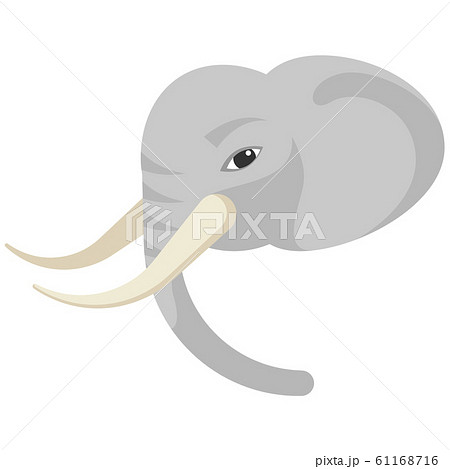 Elephant portrait made in unique simple cartoon style. Head of elephant. Isolated icon for your design. 61168716