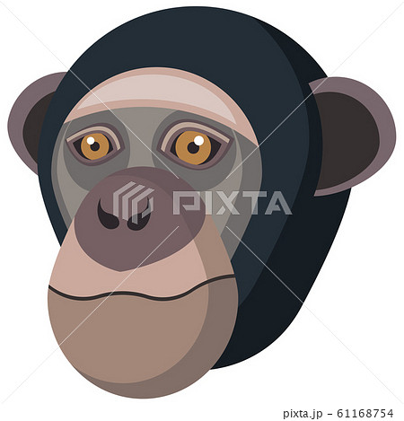 Chimpanzee Portrait Made In Unique Simple のイラスト素材