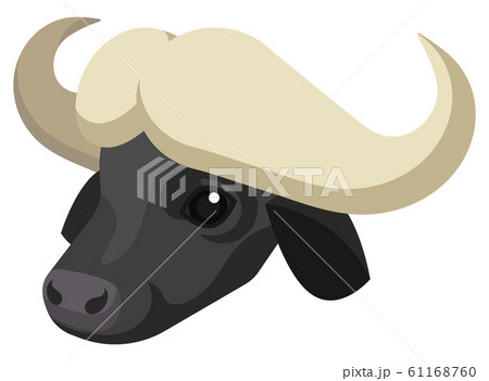Cape buffalo portrait made in unique simple cartoon style. Vector head of buffalo. Isolated artistic stylized icon for your design 61168760