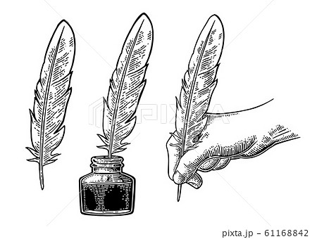 Inkwell and female hand holding a goose feather. Inkwell and female hand holding a goose feather. 61168842