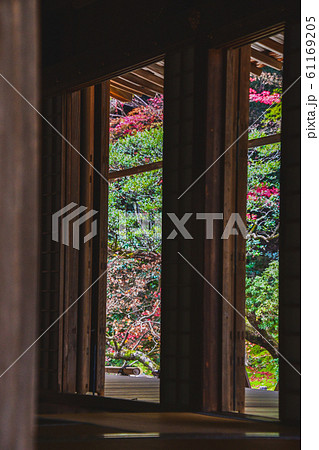 扉、床、畳などを使って秋の風景を切り取った写真 南禅院 京都 扉、床、畳などを使って秋の風景を切り取った写真 南禅院 京都 61169205