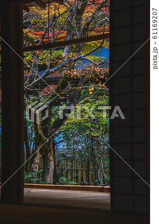 扉、床、畳などを使って秋の風景を切り取った写真 南禅院 京都 扉、床、畳などを使って秋の風景を切り取った写真 南禅院 京都 61169207