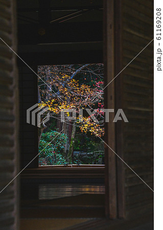 扉、床、畳などを使って秋の風景を切り取った写真 南禅院 京都 扉、床、畳などを使って秋の風景を切り取った写真 南禅院 京都 61169208