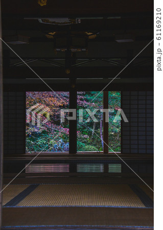 扉、床、畳などを使って秋の風景を切り取った写真 南禅院 京都 扉、床、畳などを使って秋の風景を切り取った写真 南禅院 京都 61169210