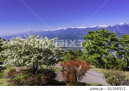 （長野県）鷹狩山展望台からの眺める、安曇野と北アルプス山麓 61169312