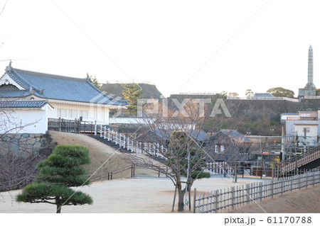 ■ 甲府城 ■ 舞鶴城公園 ■ 山梨県 ■ 冬 61170788