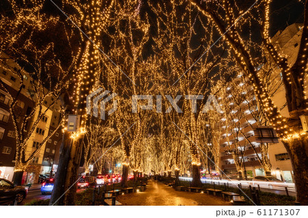 SENDAI光のページェント2019 宮城県仙台市 SENDAI光のページェント2019 宮城県仙台市 61171307