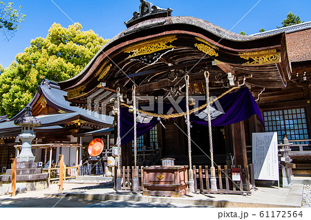 山梨県甲府市 武田神社　拝殿 61172564