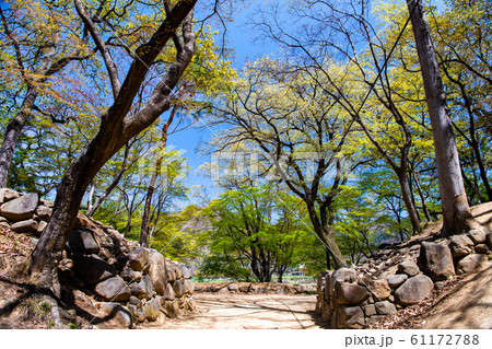 山梨県甲府市 武田氏館跡の枡形虎口 61172788
