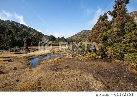 屋久島 花之江河 屋久島 花之江河 61172851