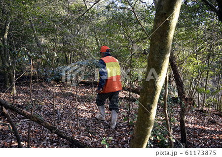山を歩く男性（狩猟免許取得者） 61173875