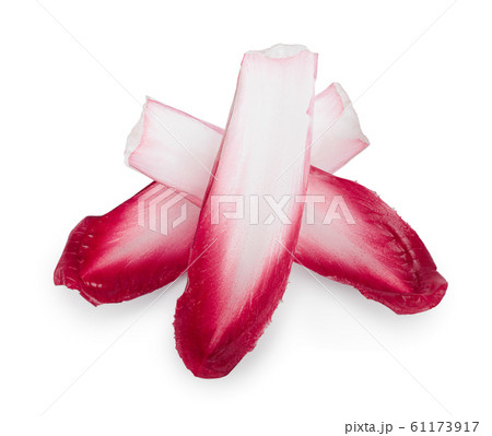 red chicory or radicchio leaves isolated on white background red chicory or radicchio leaves isolated on white background 61173917