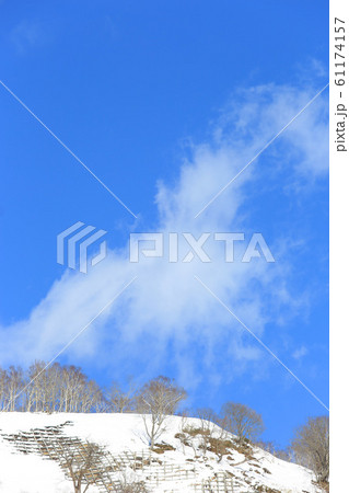 澄んだ冬空の一景(青空+雲+小山+カバノキ林) 澄んだ冬空の一景(青空+雲+小山+カバノキ林) 61174157