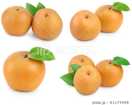 Set or collection fresh asian pear with leaf isolated on white background Set or collection fresh asian pear with leaf isolated on white background 61174499
